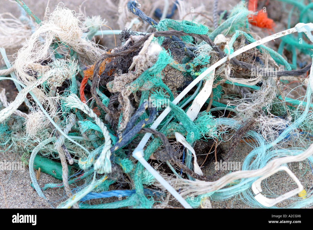 Campioni di scartare la lenza e reti trovati su una spiaggia Foto Stock