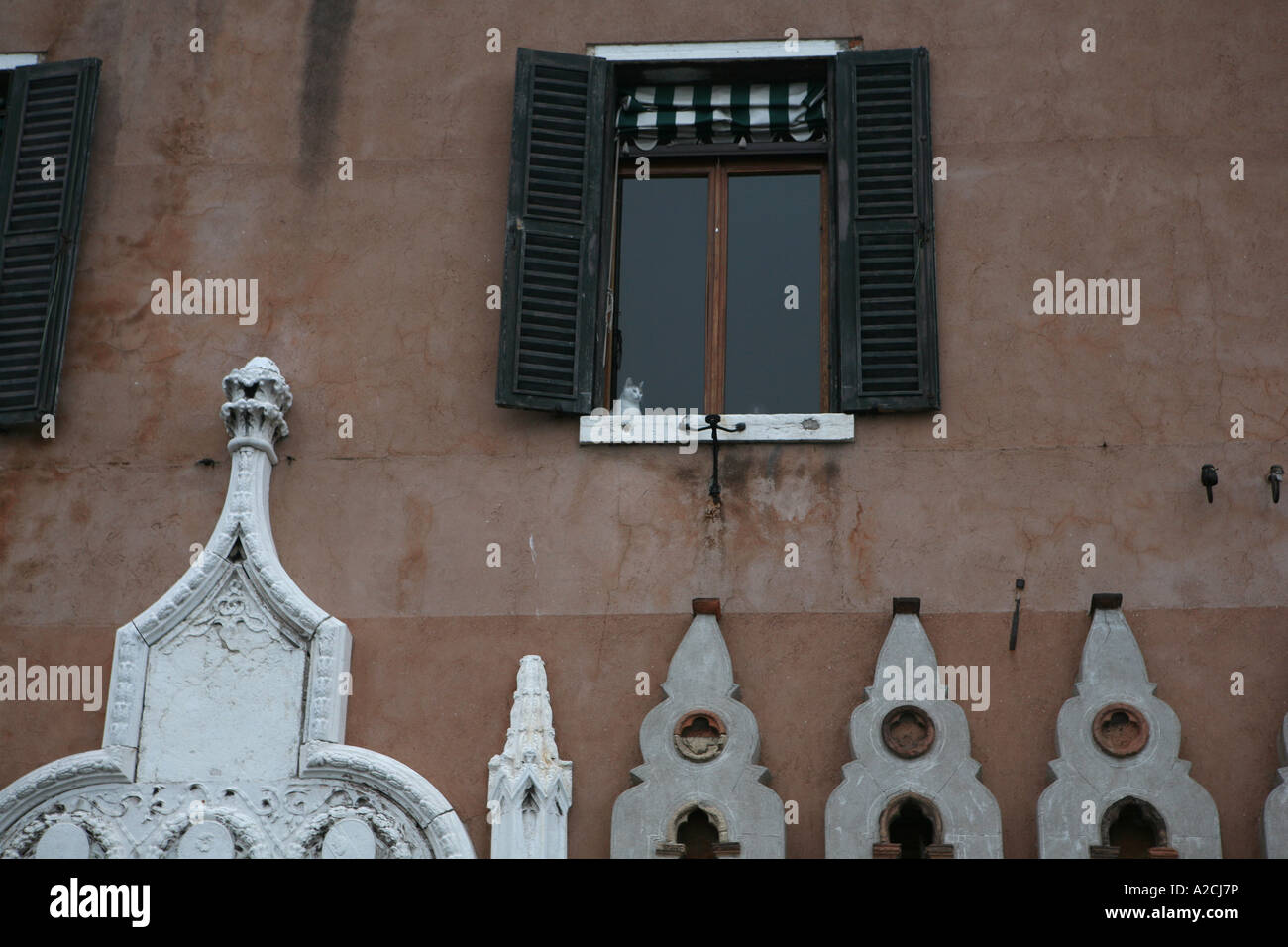 Gatti nella finestra di vecchio palazzo di Venezia, Italia Foto Stock