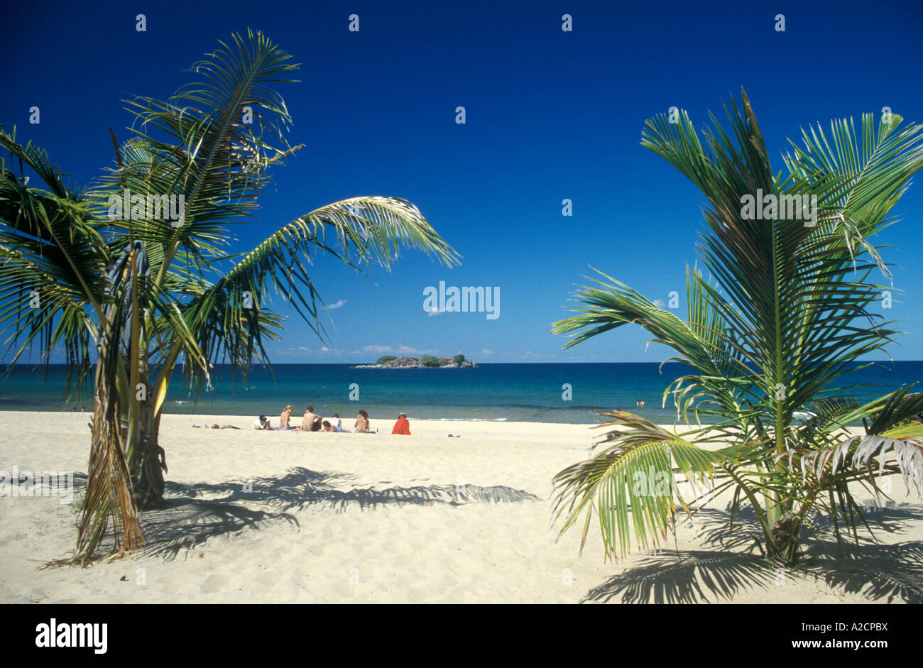 Palme Kande Spiaggia al lago Malawi in Africa Foto Stock