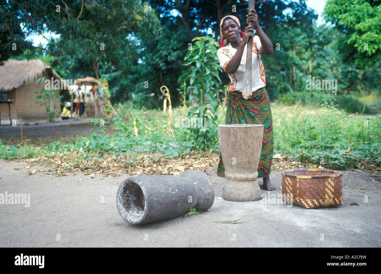Una donna mashing manioca in un villaggio vicino a Kande presso il Lago Malawi in Africa Foto Stock