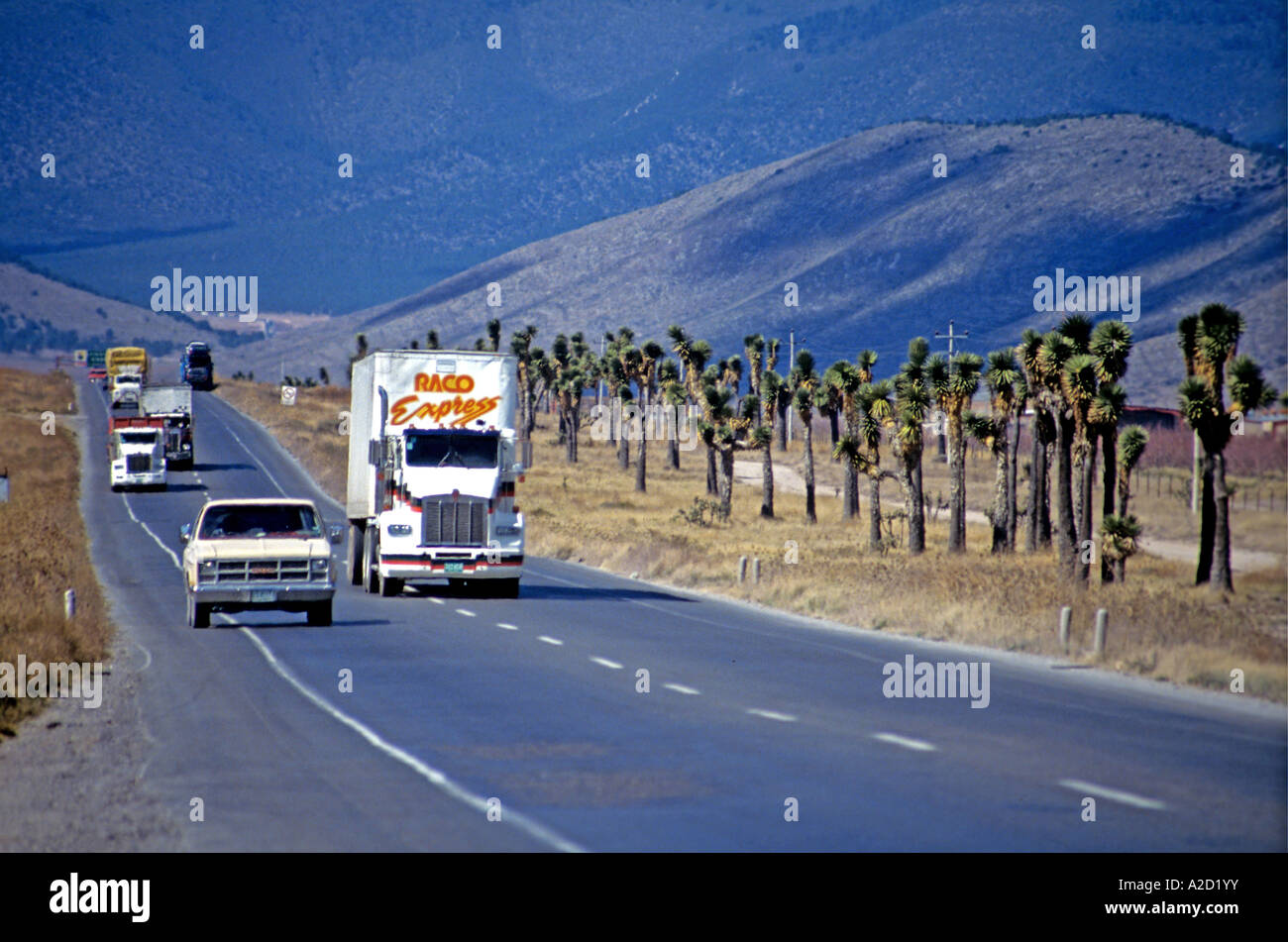 Pan American Highway Nuevo Leon membro Messico Foto Stock