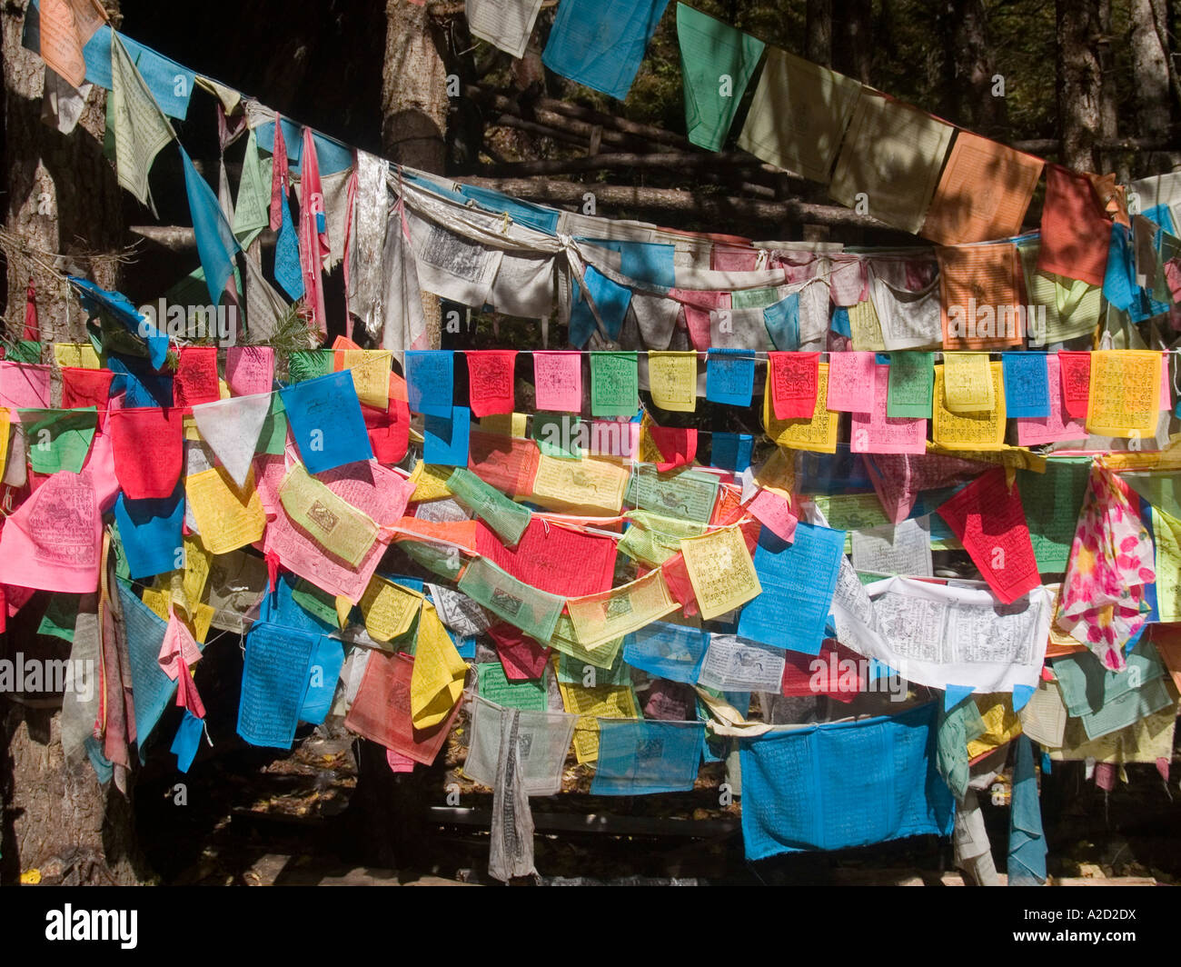 Preghiera tibetano bandiere adornano la foresta vicino mountain pass Kawa Dampa Meili gamma Neve Montagne parco nazionale di Cina Foto Stock
