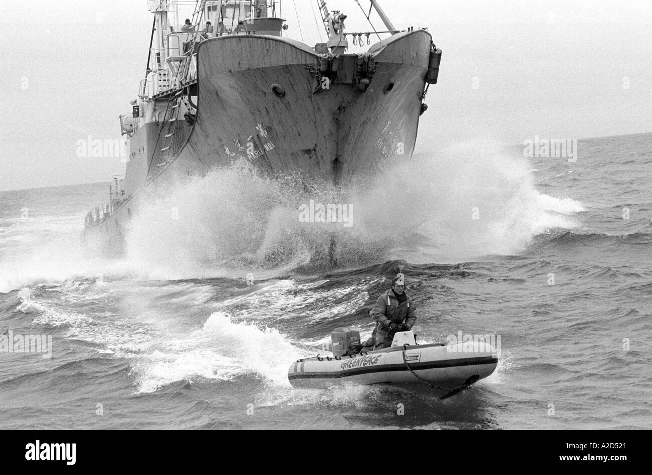 Greenpeace protesta di caccia alle balene in Antartide Foto Stock