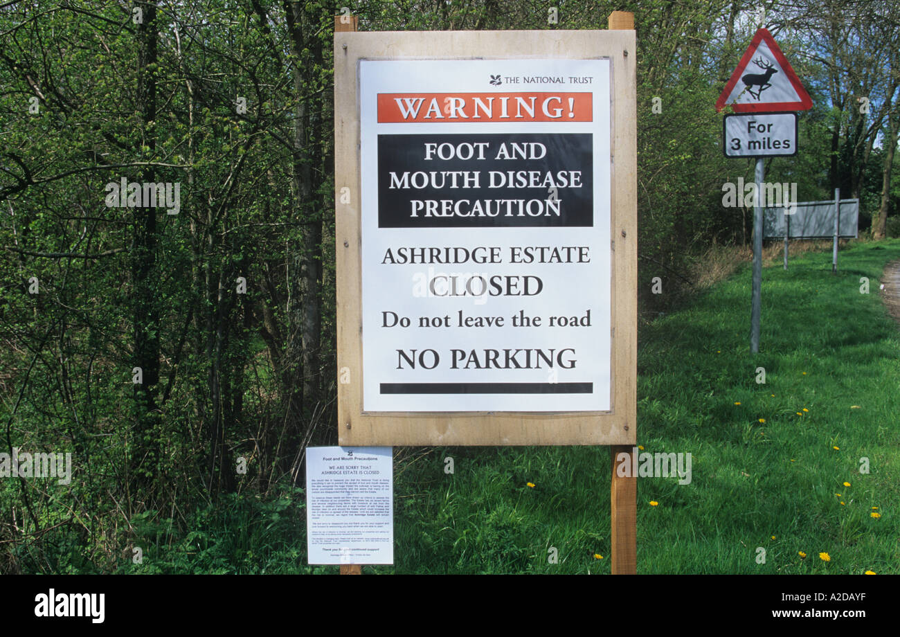 Ashridge Estate Hertfordshire piedi & bocca precauzioni Foto Stock