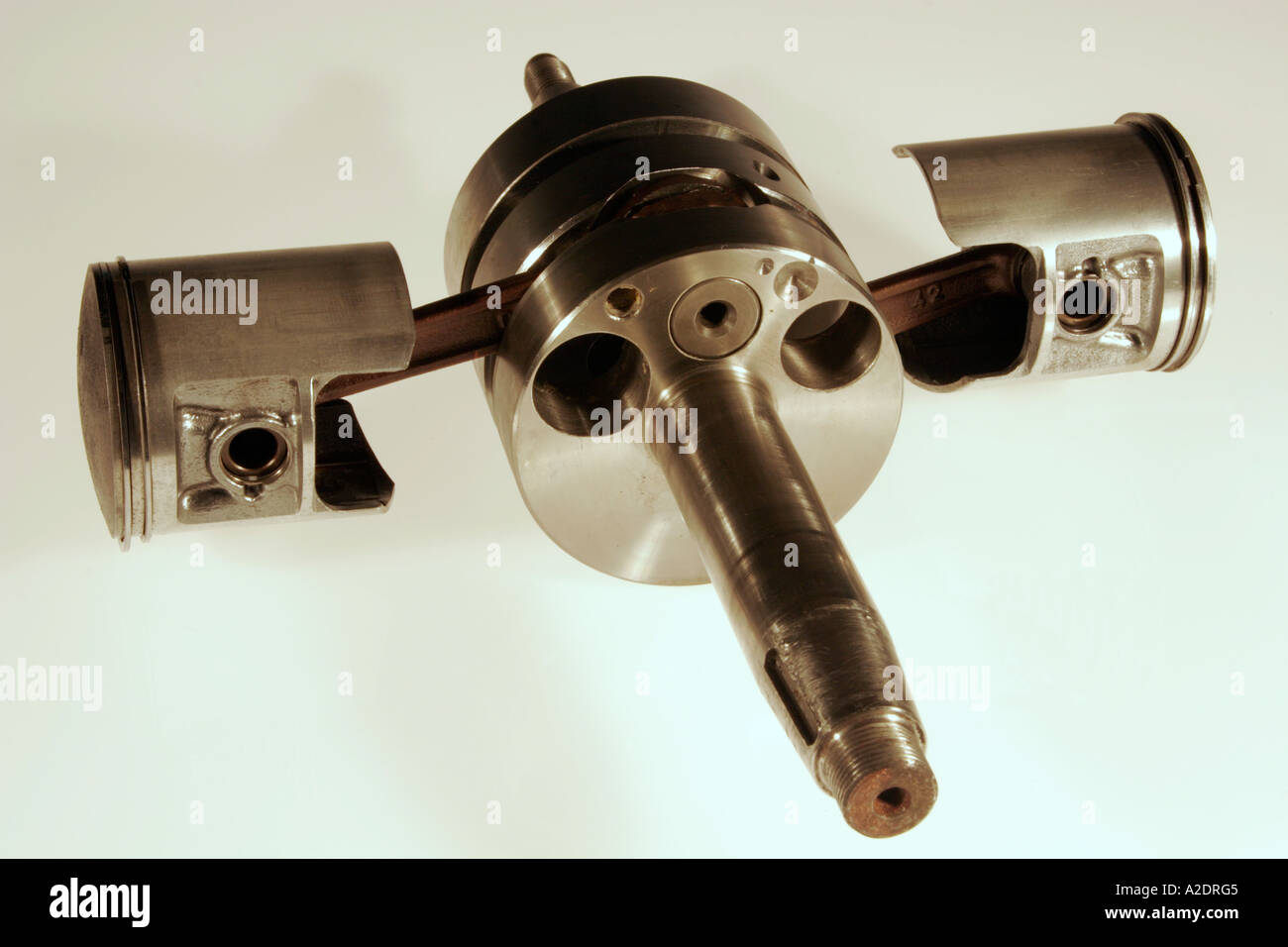 Gruppo albero a gomiti Foto Stock