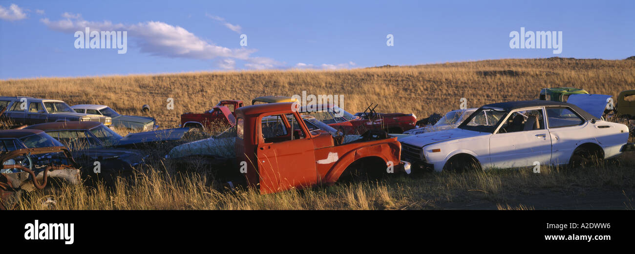 Le vecchie autovetture oggetto di dumping nella prateria Montana USA Foto Stock