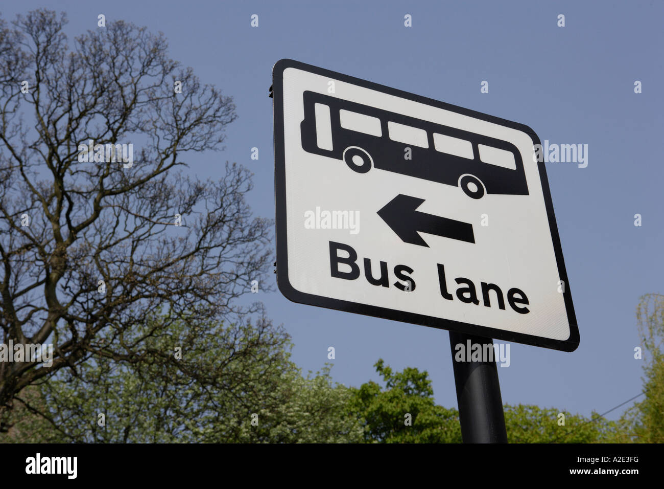 Segno del bus Lane Foto Stock