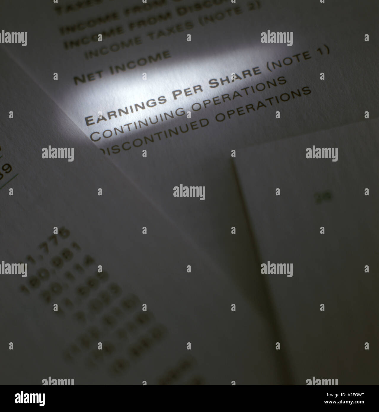 Relazione annuale di dettaglio con la voce di riga evidenziata con la barra di luce Foto Stock