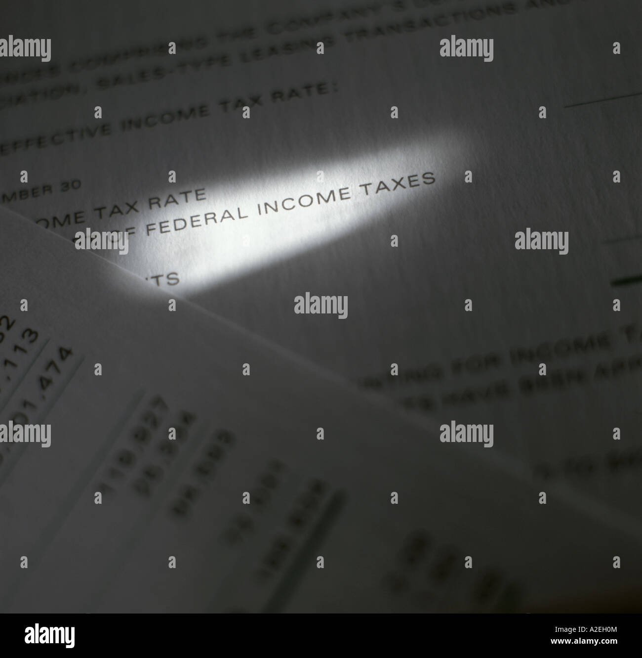 Relazione annuale di dettaglio con la voce di riga evidenziata con la barra di luce Foto Stock