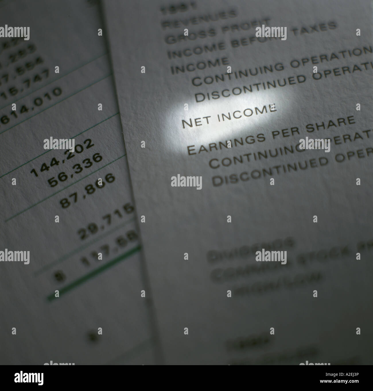 Relazione annuale di dettaglio con la voce di riga evidenziata con la barra di luce Foto Stock