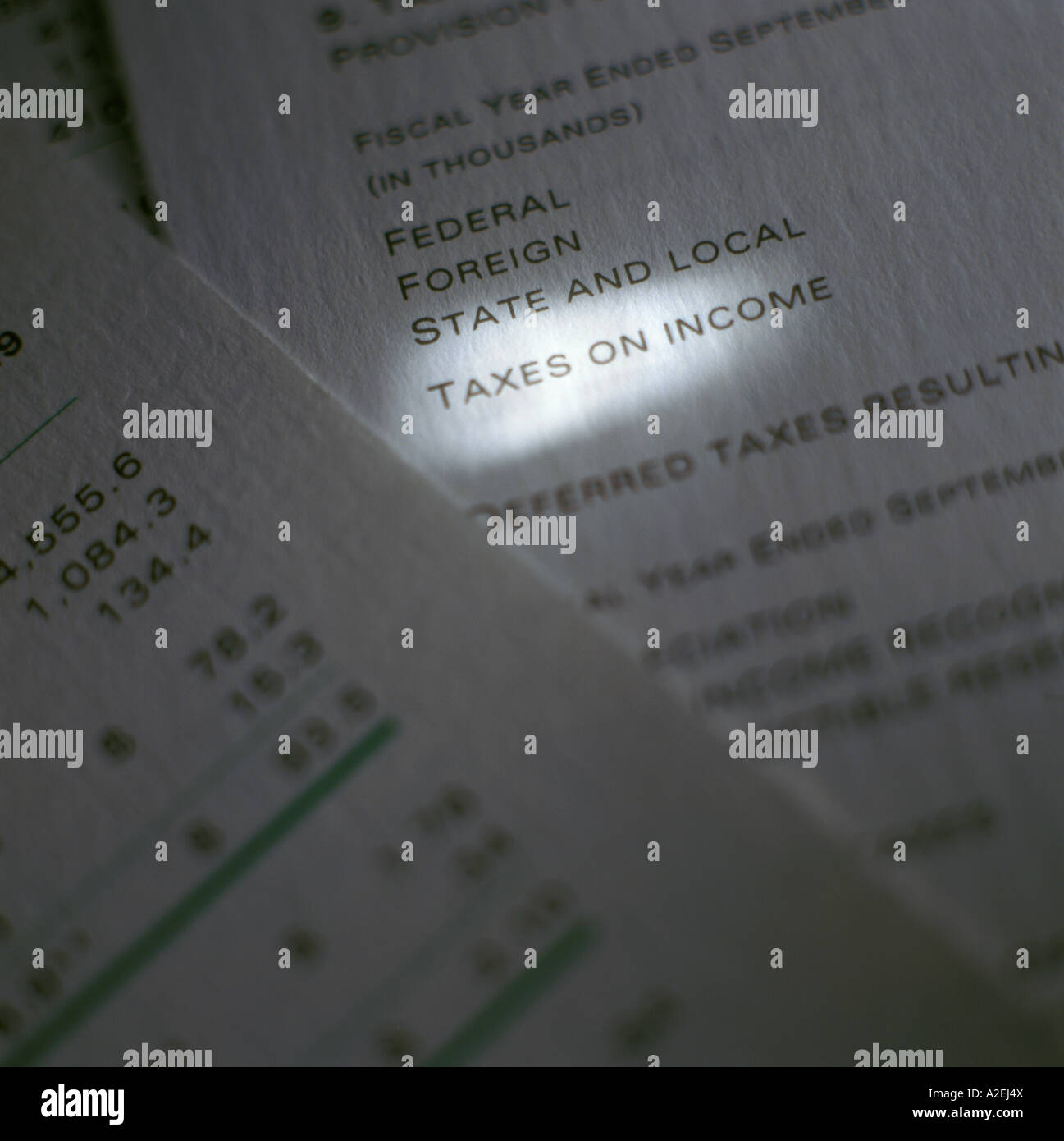 Relazione annuale di dettaglio con la voce di riga evidenziata con la barra di luce Foto Stock