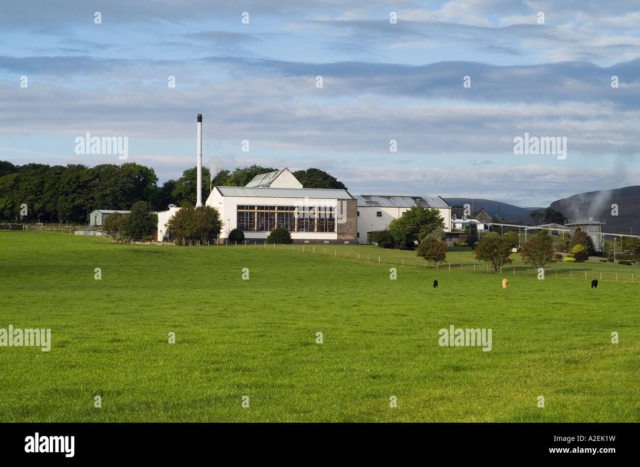 dh Cylnelish Distillery BRORA SUTHERLAND Nuova distilleria edifici con campo di mucche in campagna whisky di malto scozia Foto Stock