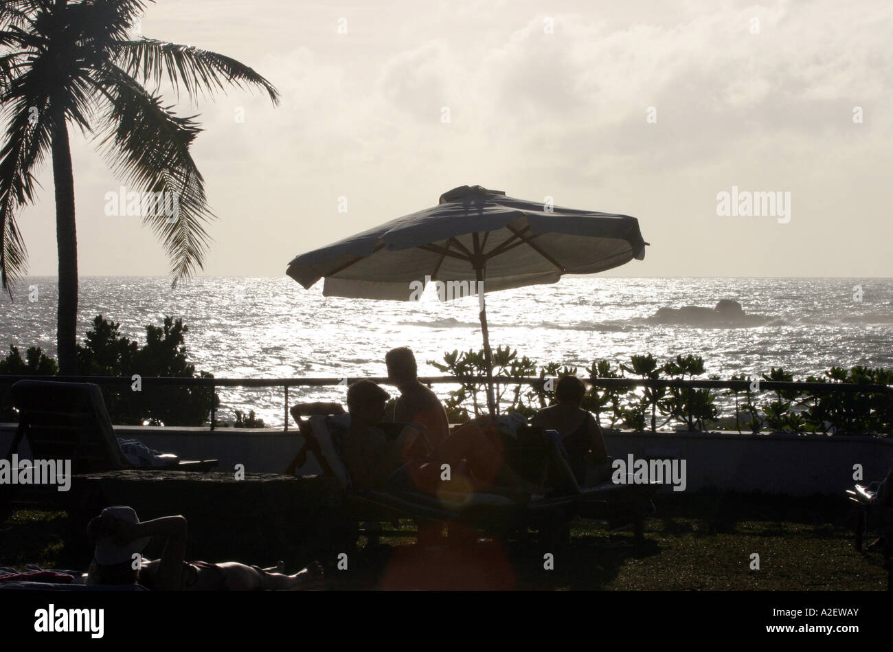 Silhouette di ombrellone e Palm tree al tramonto, spiaggia di Bentota, Sri Lanka, Asia Foto Stock