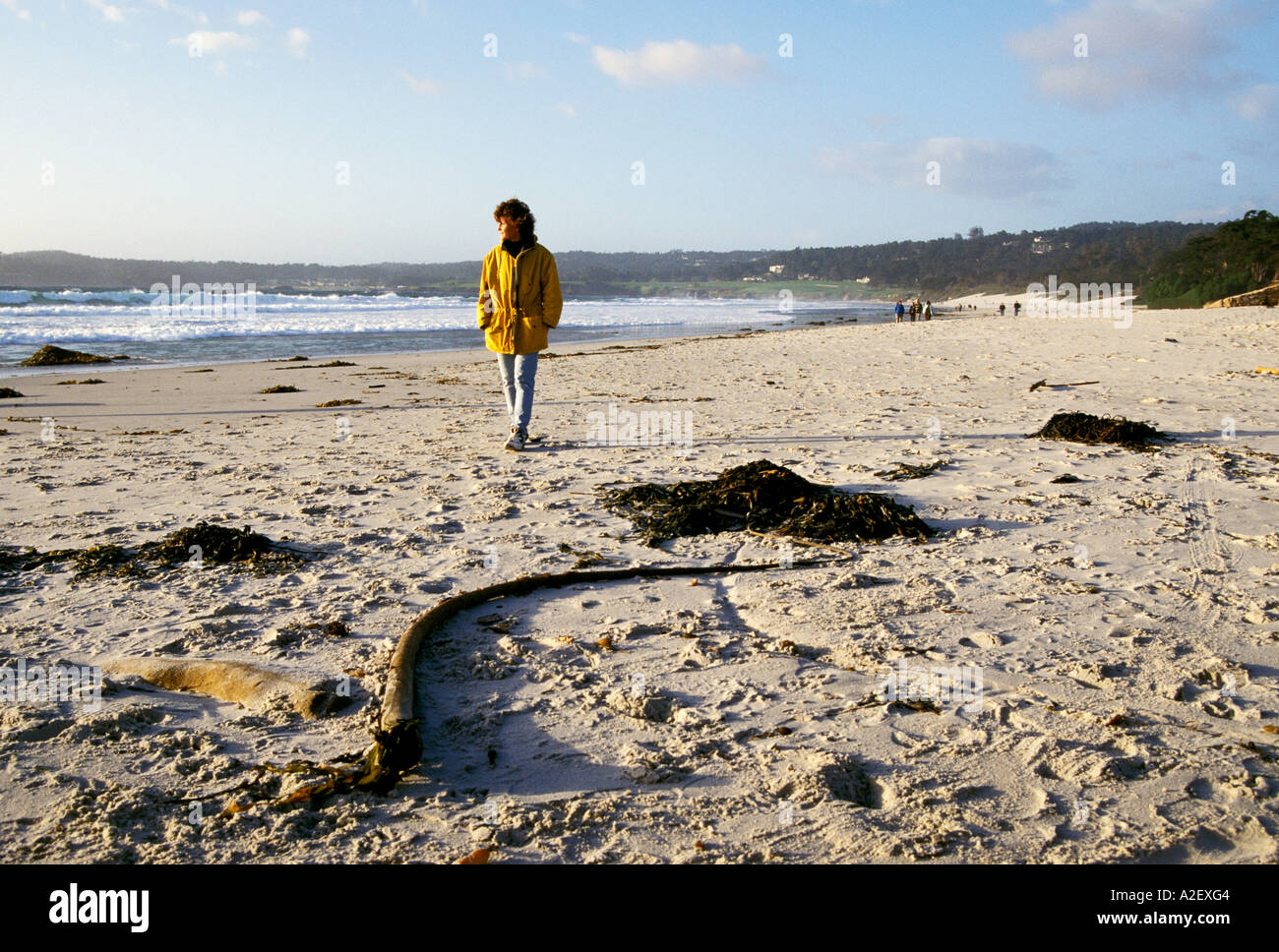 Spiaggia CA al Carmelo donna camminando sulla spiaggia con bullwhip kelp Foto Stock