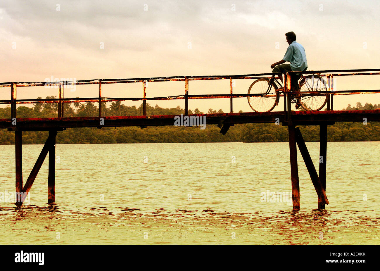 Tramonto dello Sri lanka: Un ciclista attraversa un ponte su un fiume al tramonto, Galle, Sri Lanka Foto Stock