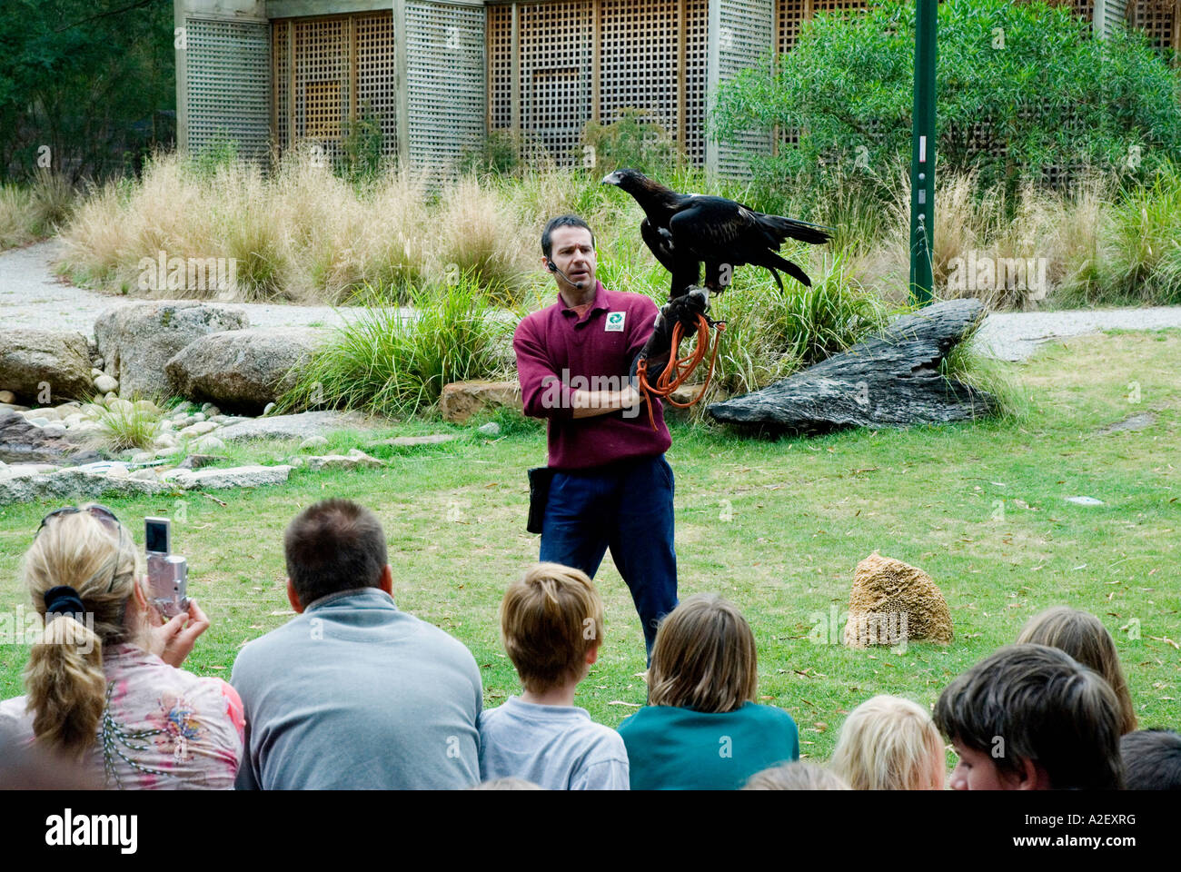 Uccelli rapaci visualizzare l'Healesville Wildlife Sanctuary Victoria Australia Foto Stock