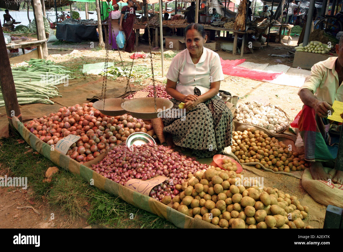 Sri Lanka mercato alimentare - donna che vende cibo in una bancarella di mercato, cultura locale, villaggio di Alutgama, Bentota, Sri Lanka, Asia Foto Stock