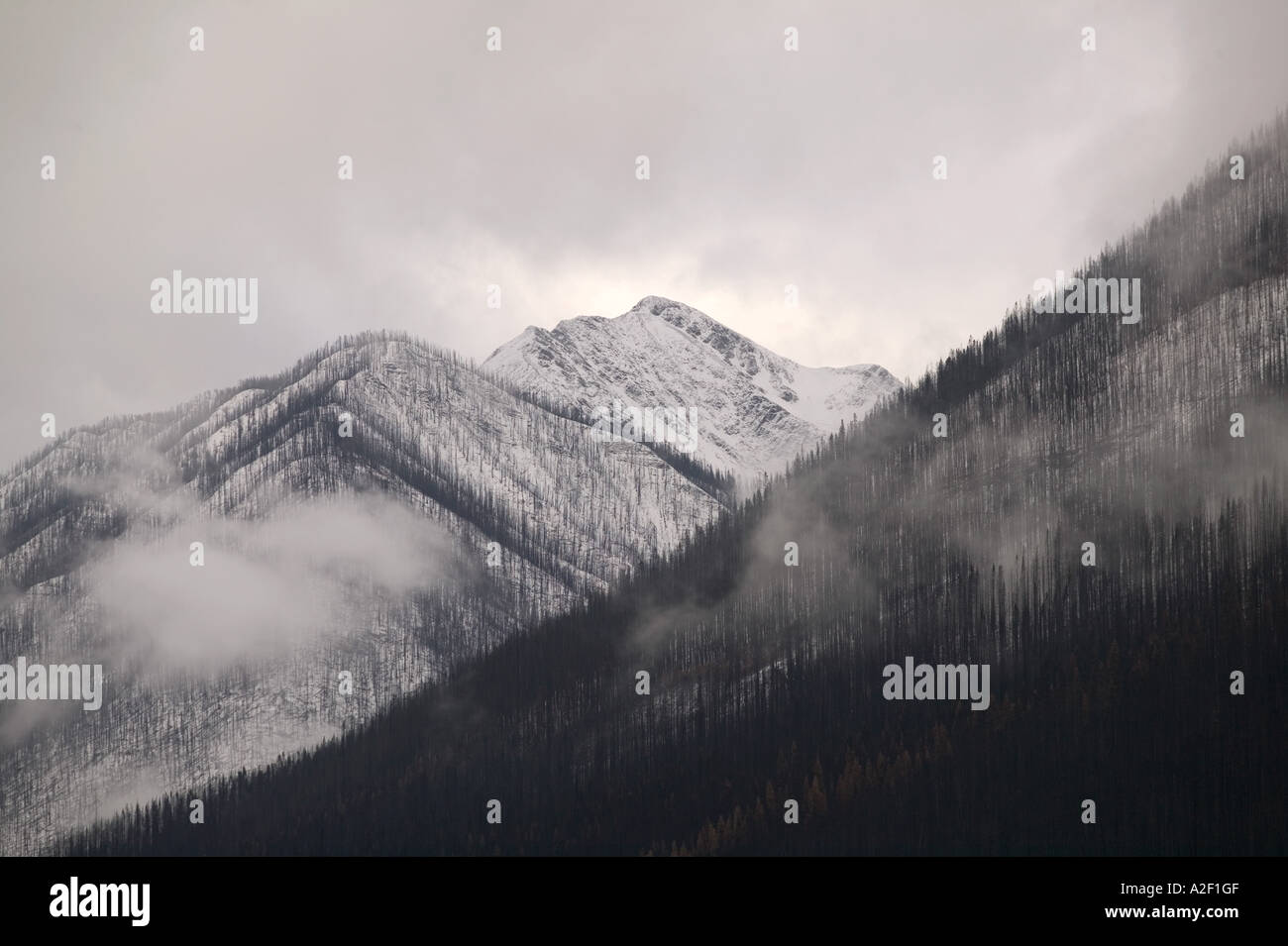 CANADA, British Columbia, Rockies. Kootenay National Park, prima neve da Vermiglio Crossing Foto Stock