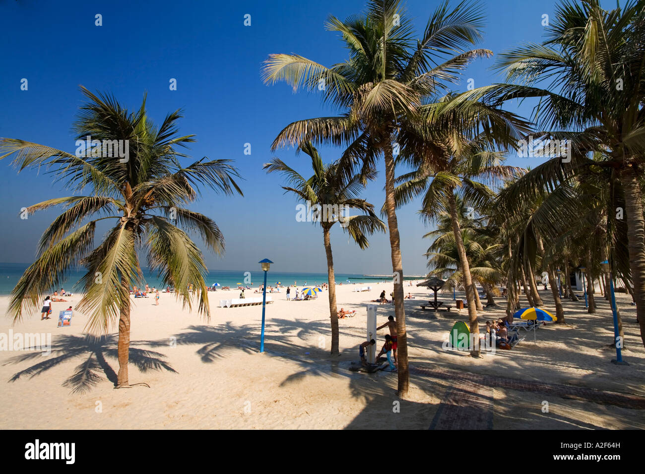 Dubai Jumeirah Beach Park plam alberi Foto Stock