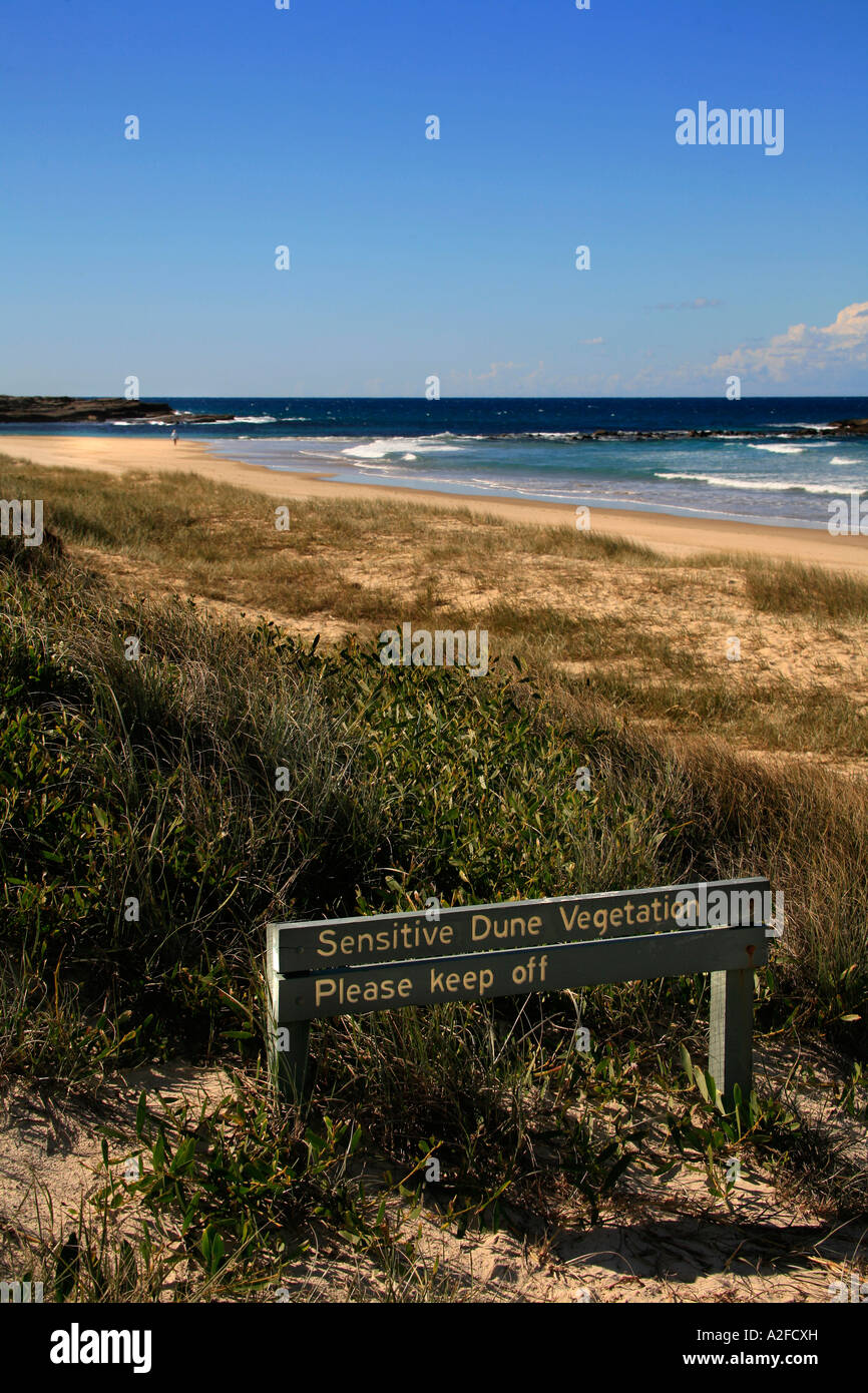 Dune di sabbia di conservazione a Iluka beach NSW Australia Foto Stock