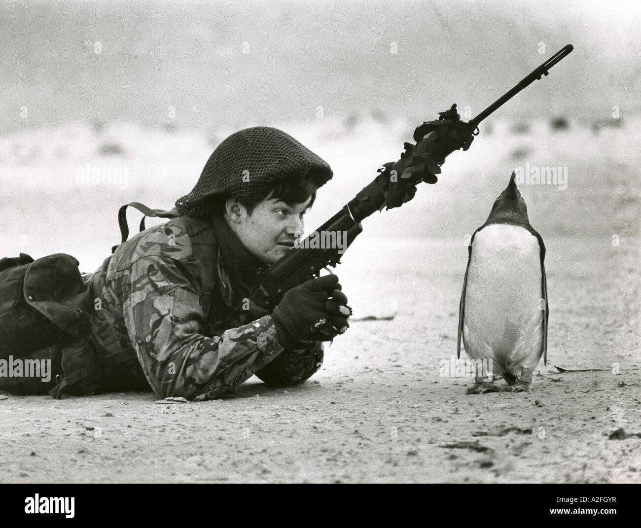 Un soldato britannico e il pinguino su una spiaggia nelle isole Falkland durante una pattuglia nel 1983 dopo il conflitto delle Falklands terminata. Foto Stock