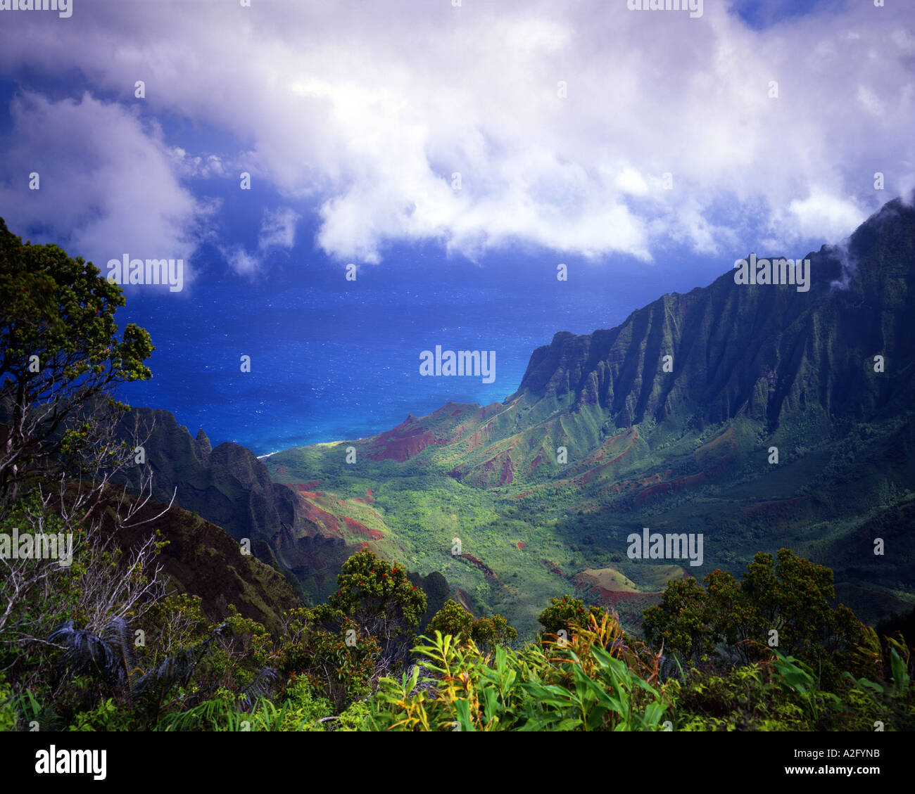 Stati Uniti - Hawaii: Kokee State Park in Valle Kalalau sull'isola di Kauai Foto Stock