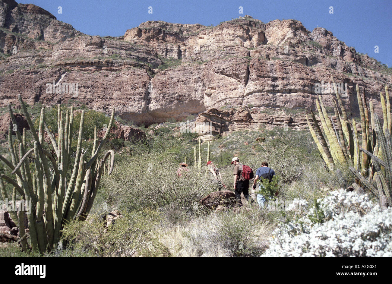 Salendo fino alle grotte in Sierra San Francisco vicino a San Ignacio, Baja California, Messico Foto Stock