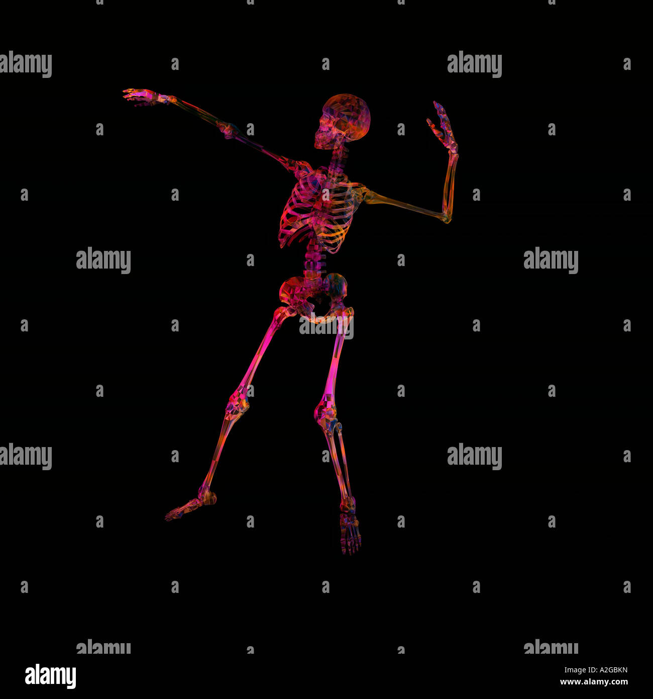 Scheletro Foto Stock