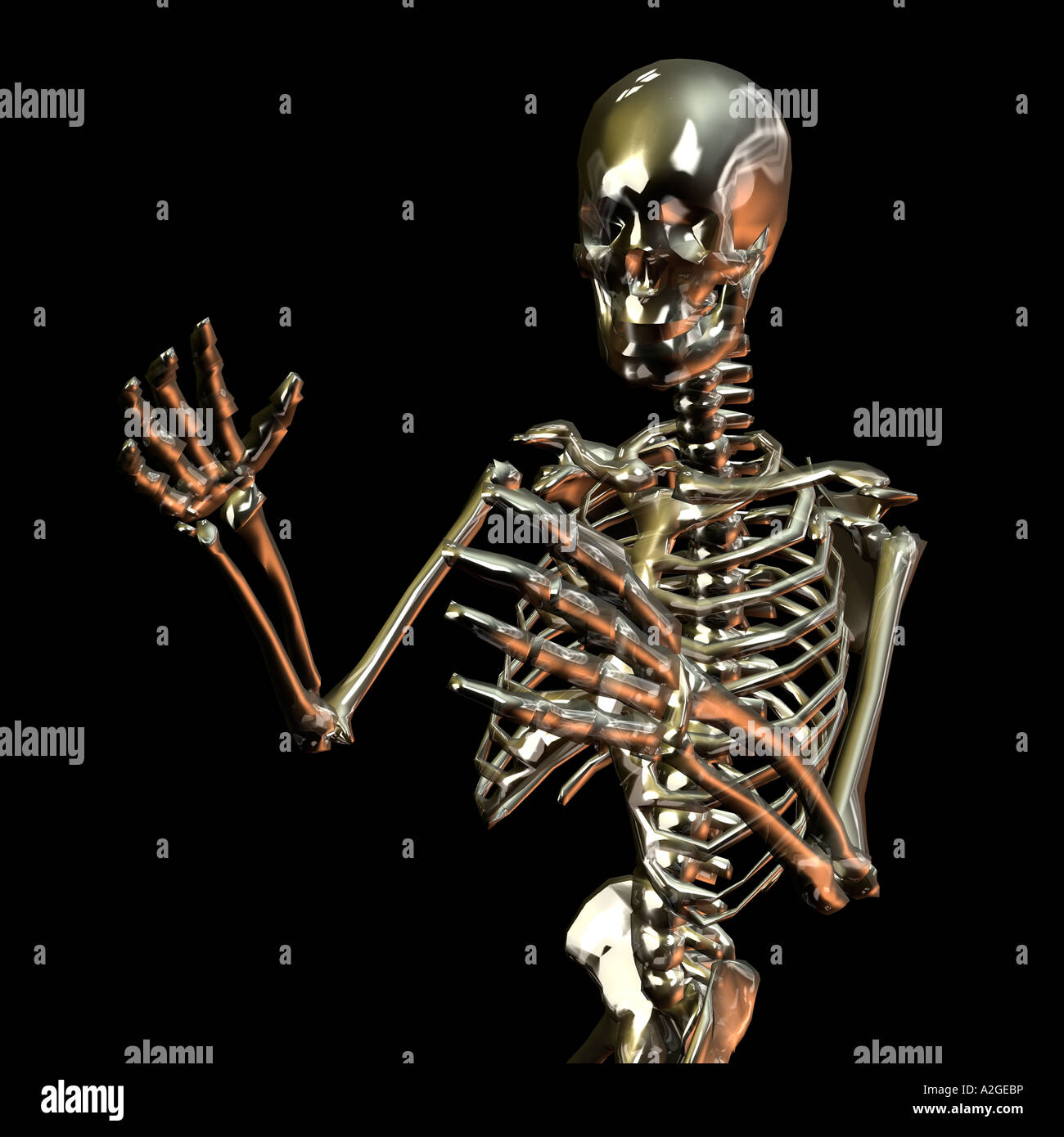 Scheletro di vetro Foto Stock