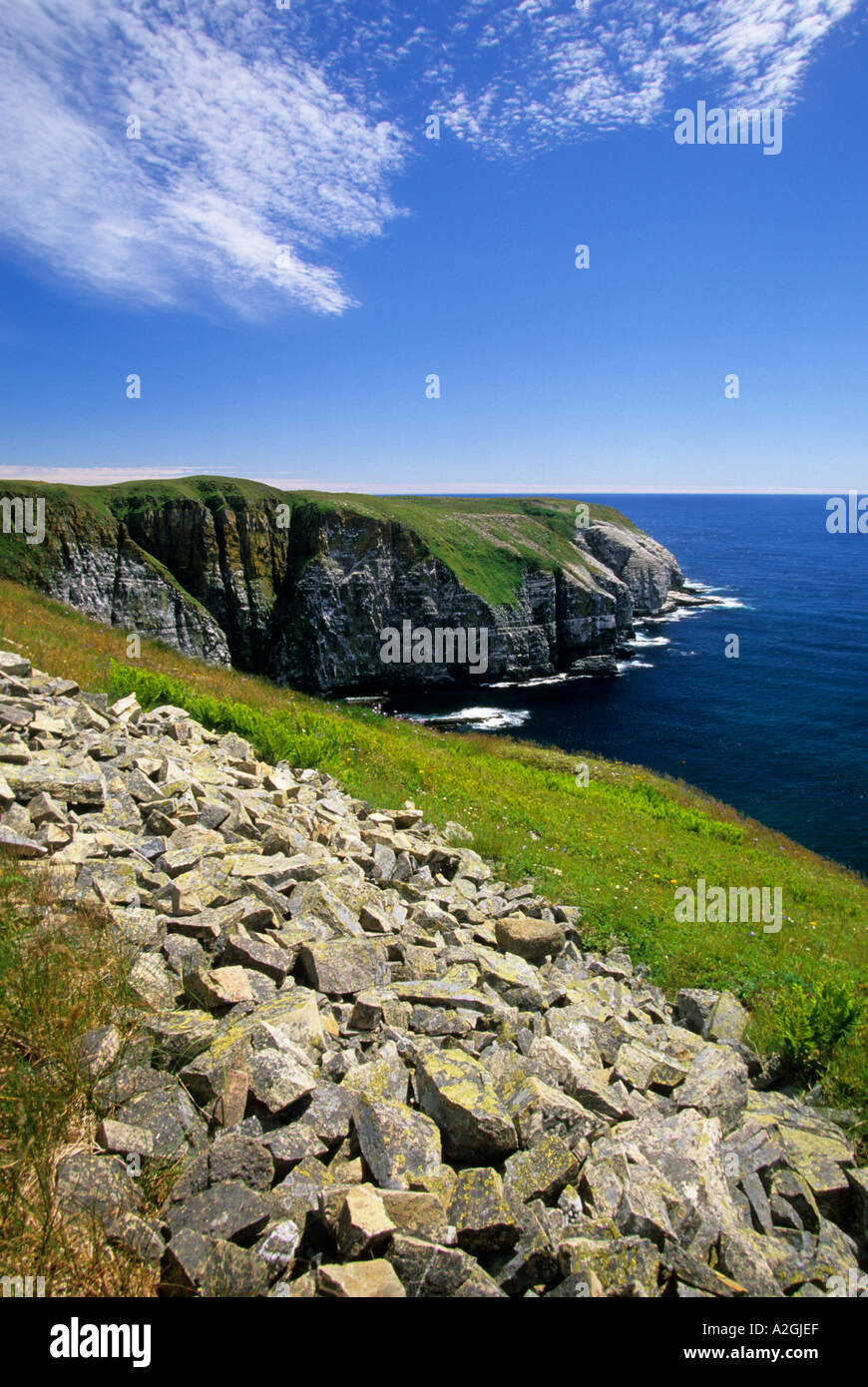 Capo St Mary s Riserva Ecologica di Terranova in Canada Foto Stock