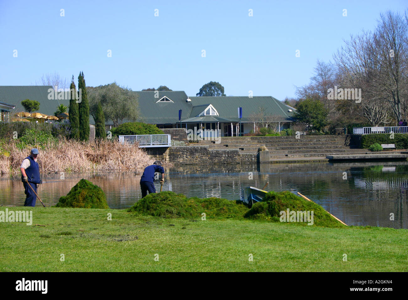 Lavoratori di erbaccia di pulizia dal lago di tartaruga, Hamilton Gardens, Hamilton, Nuova Zelanda Foto Stock