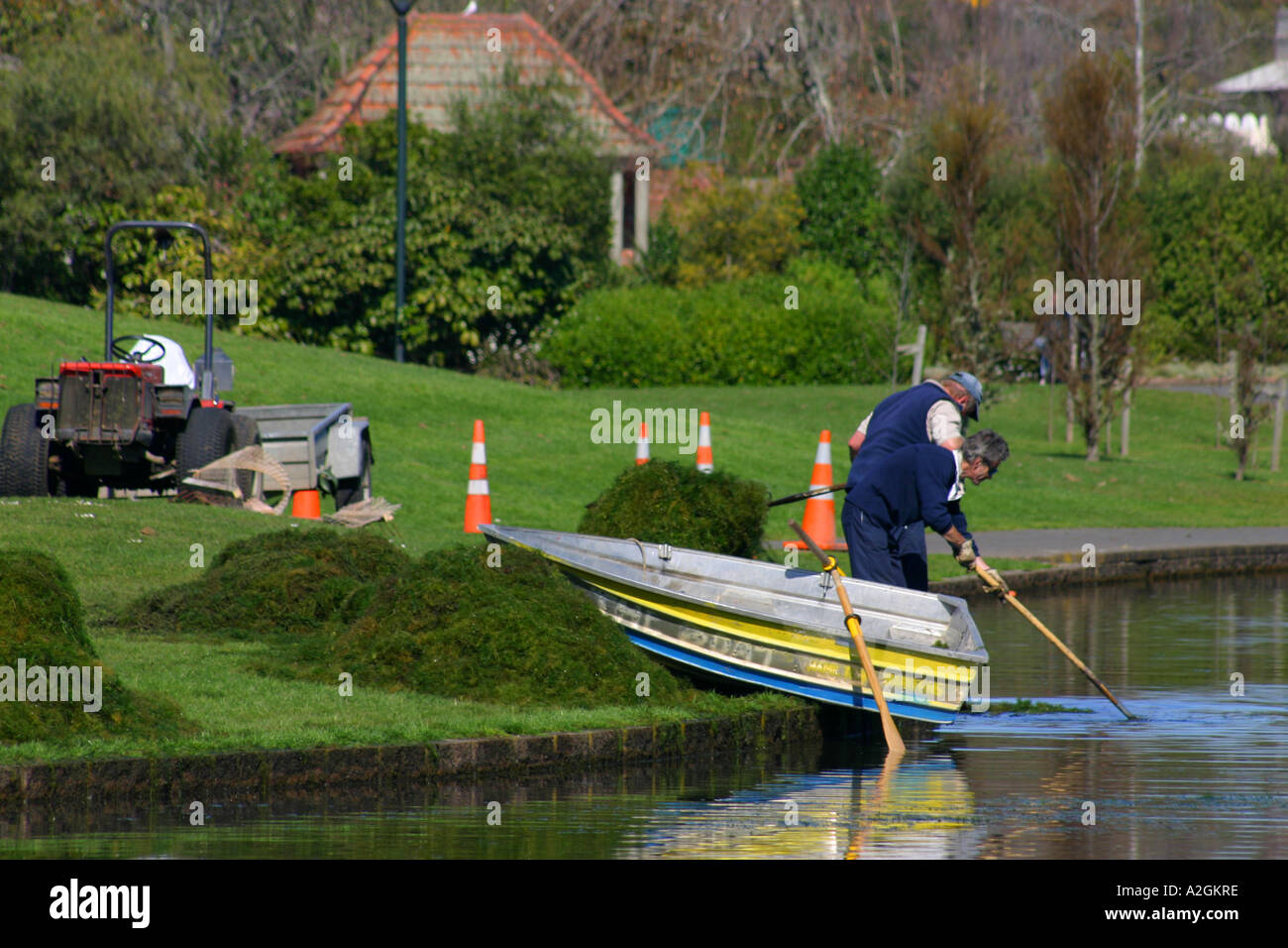 Lavoratori di erbaccia di pulizia dal lago di tartaruga, Hamilton Gardens, Hamilton, Nuova Zelanda Foto Stock