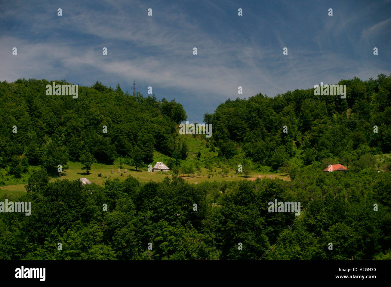 Regione di Tara Foto Stock