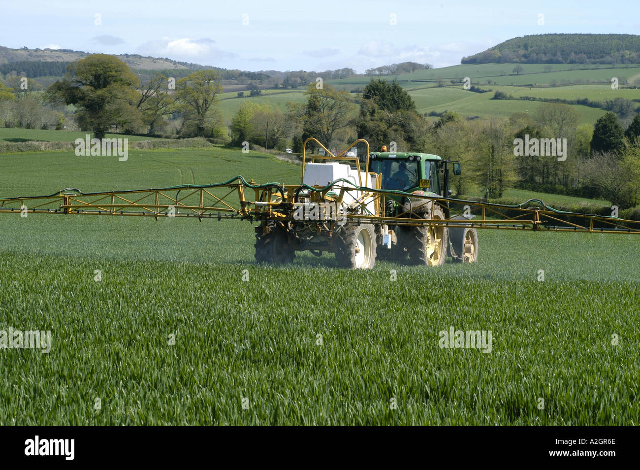 Un trattore John Deere e cavaliere trainato irroratrice la spruzzatura di un giovane il raccolto di grano in primavera Foto Stock