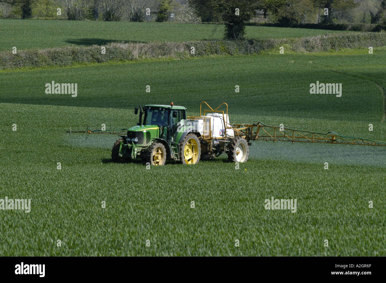 Un trattore John Deere e cavaliere trainato irroratrice la spruzzatura di un giovane il raccolto di grano in primavera Foto Stock