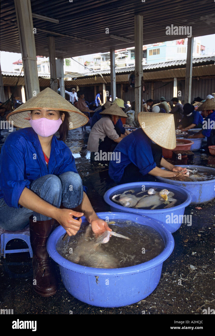 Il pollame per la vendita, Long Bien Mercato, Hanoi, Vietnam. Dalla storia di influenza aviaria in Asia. Foto Stock