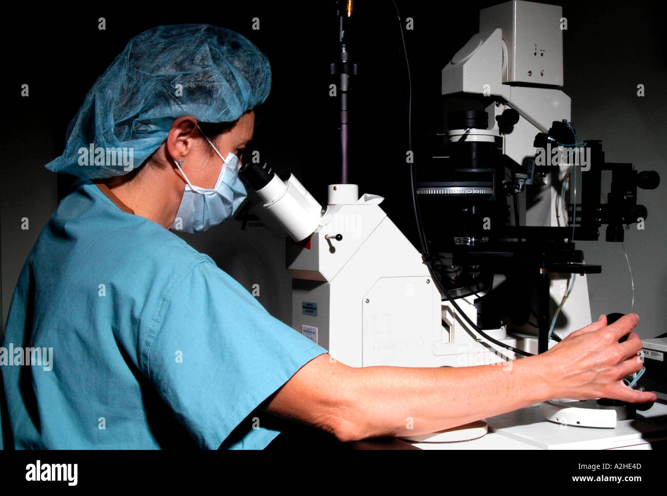 Un ricercatore indossando stile chirurgico di indumenti di protezione consente di regolare i controlli di un microscopio di grandi dimensioni Foto Stock