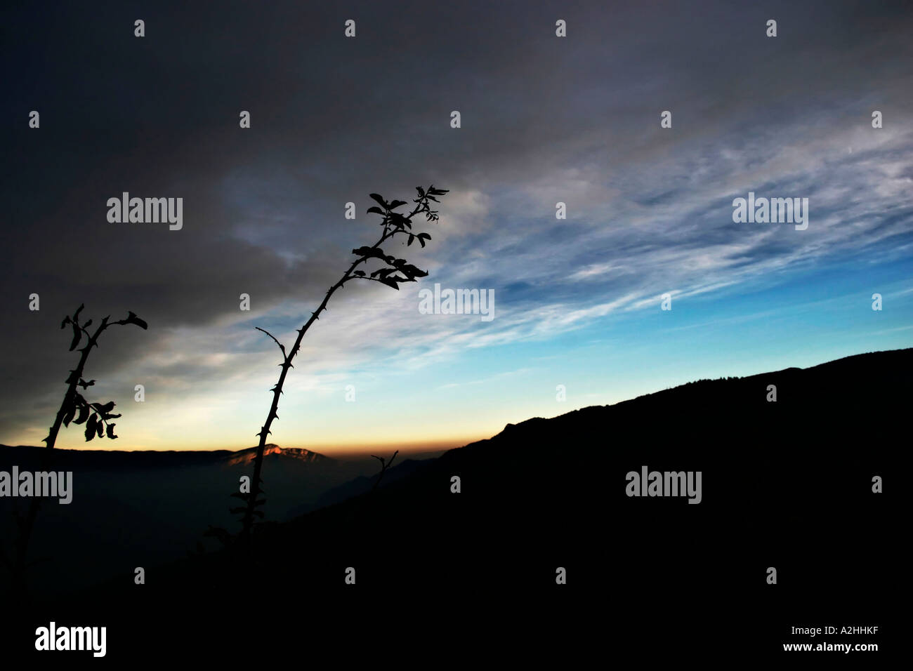 Panorama di montagne nuvole albero liscio e cielo blu Foto Stock