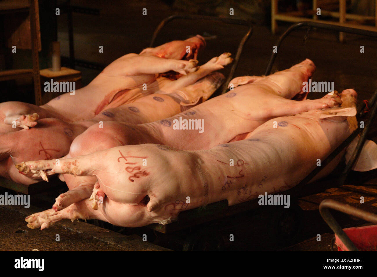 I suini in attesa di essere venduto in tutta la giornata in un popolare Wan Chai macelleria, Hong Kong SAR, Foto Stock