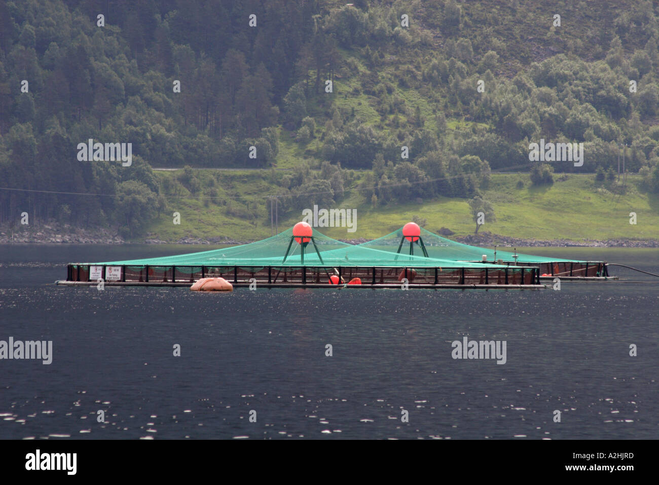 La piscicoltura in Norvegia Foto Stock