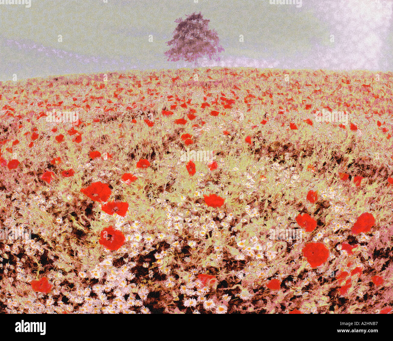 Arte digitale: estate delle quattro stagioni Foto Stock