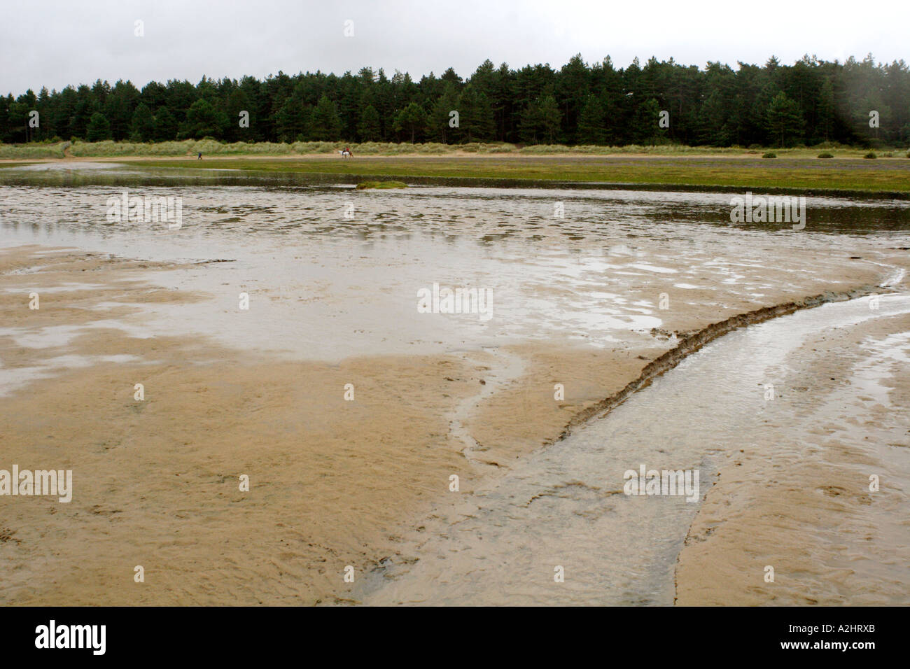 Holkham Beach, Norfolk, Regno Unito Foto Stock