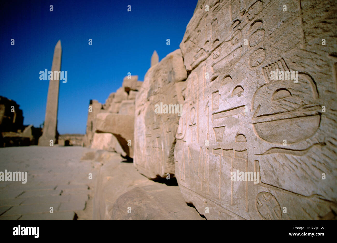 Africa - Egitto - Luxor - Karnak - geroglifica rovine coperte, obelisco in distanza, selezionare la messa a fuoco Foto Stock