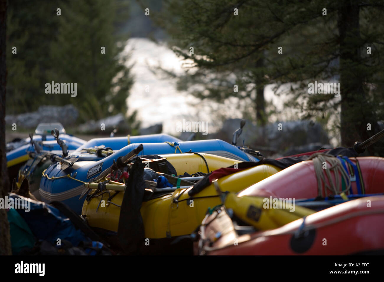 Zattere, fiume viaggio sulla forcella centrale del fiume di salmoni, Idaho Foto Stock