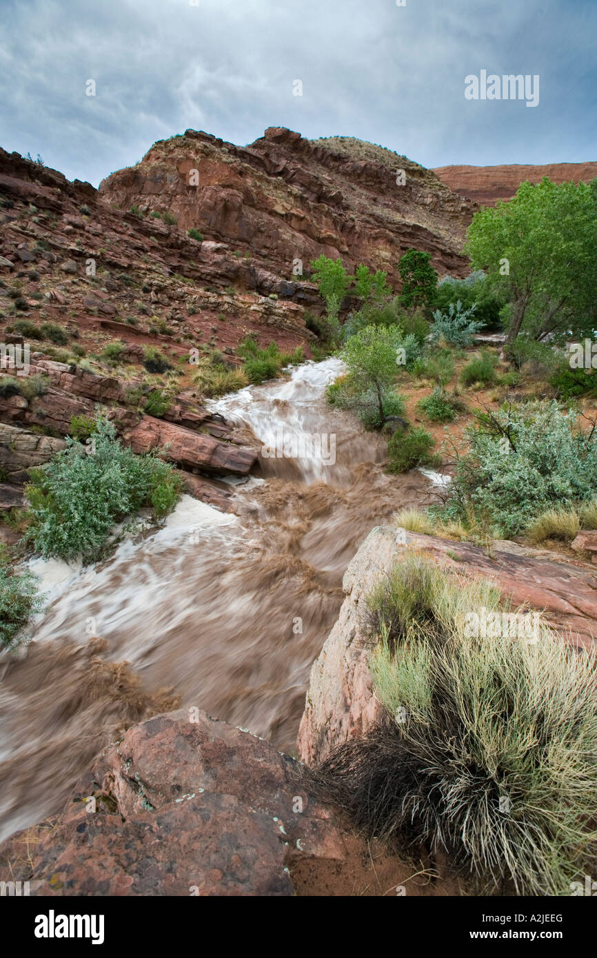 Inondazione a Mill Creek, Moab, Utah Foto Stock