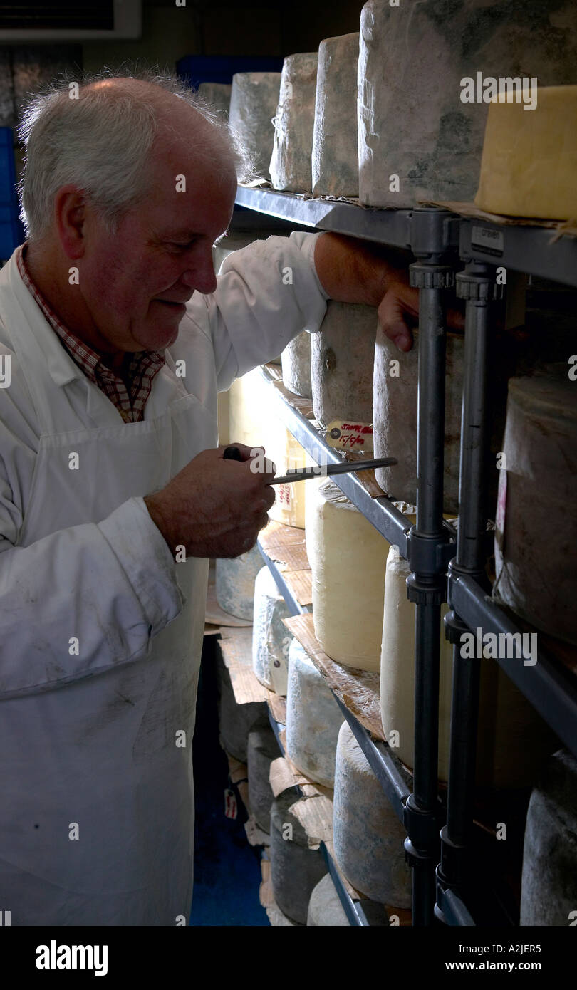 John Knox del formaggio Staffordshire Co, porro Staffordshire prove uno dei formaggi per la maturazione. Foto Stock