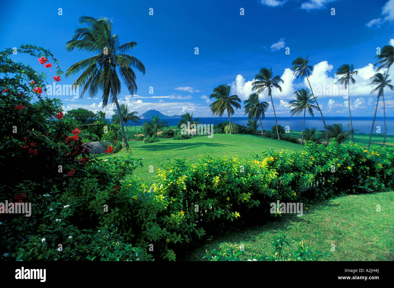 Su lussureggianti prati verdi è rivestito con palme da cocco su Saint Kitts Foto Stock