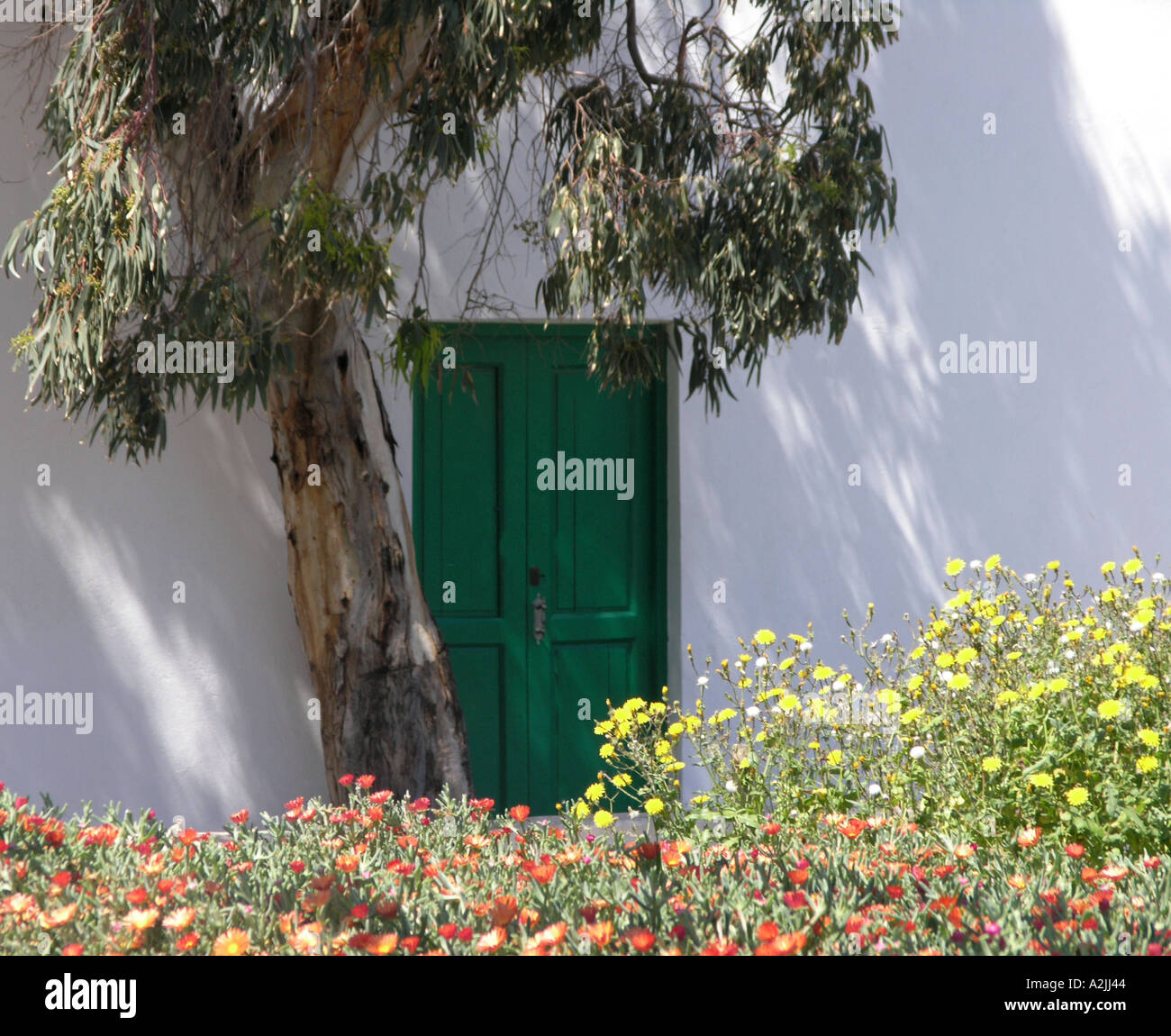 Il verde ombroso giardino agriturismo in Lanzarote isole Canarie Foto Stock