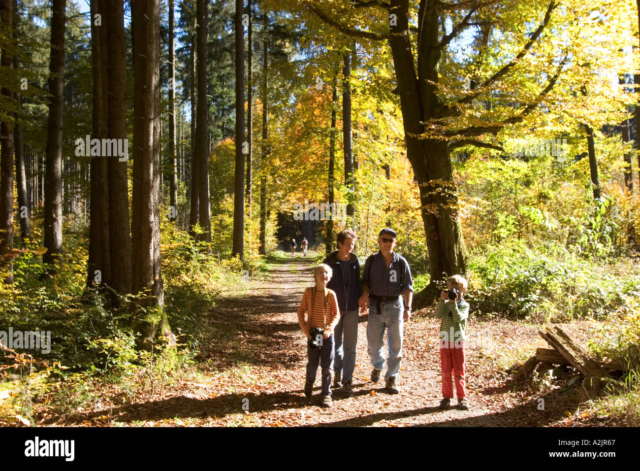 Famiglia percorso di foresta Baviera Germania Foto Stock