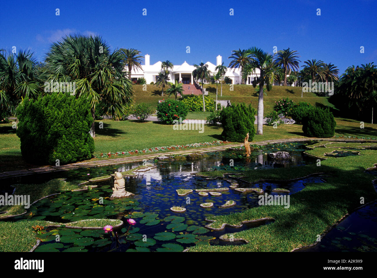 Caraibi, Bermuda, Devonshire parrocchia, Palm Grove Gardens. Piscina riflettente con esclusivo turf-cemento coperto mappa di Bermuda Foto Stock